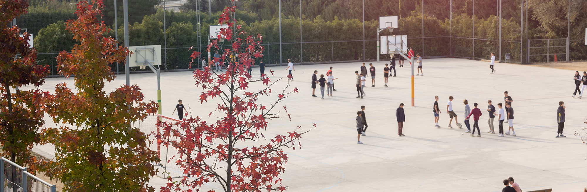 Escola thau sant cugat